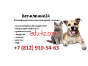 Вет-Клиник24