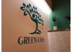 Соляная пещера Green Labs