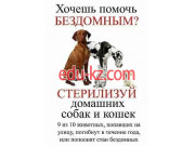 Социальный ветеринарный кабинет