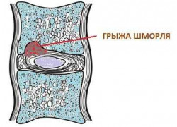 Остеопат Дракович А. В.