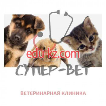 Ветеринарная клиника - Супер-Вет