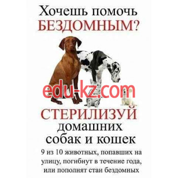 Ветеринарная клиника - Социальный ветеринарный кабинет