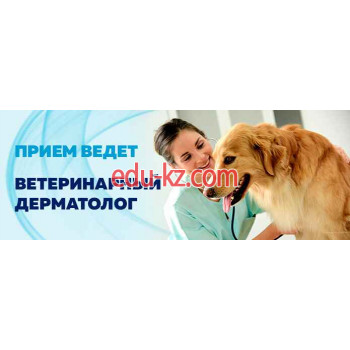 Ветеринарная клиника - Королевская УВЛ