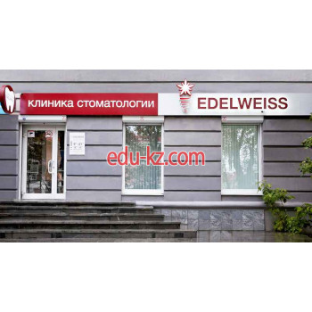 Стоматологическая клиника - Edelweiss