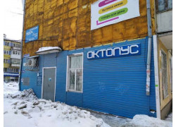 Октопус