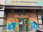 Морской конёк