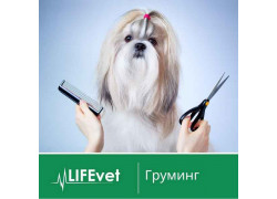 LifeVet