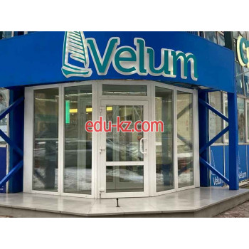 Velum