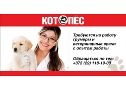 Ветеринарная клиника Котопес