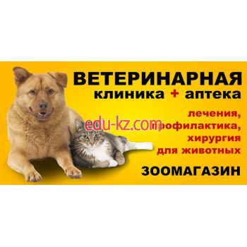 Ветеринарная клиника - Зооцентр Ювента