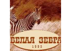 Белая зебра