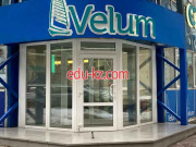 Velum