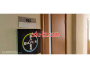 Bayer