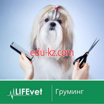 Ветеринарная клиника - LifeVet