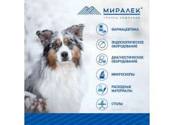 Миралек