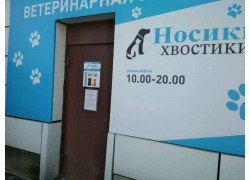 Носики Хвостики