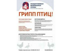 ГБУВ МО Территориальное ветеринарное управление № 4, Ленинская ветеринарная станция